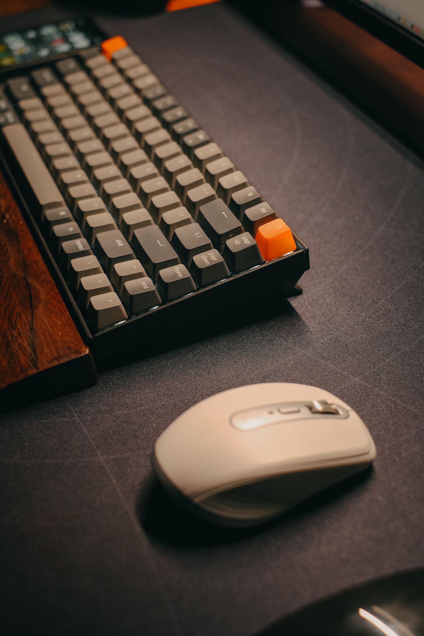 Computer keyboard and mouse