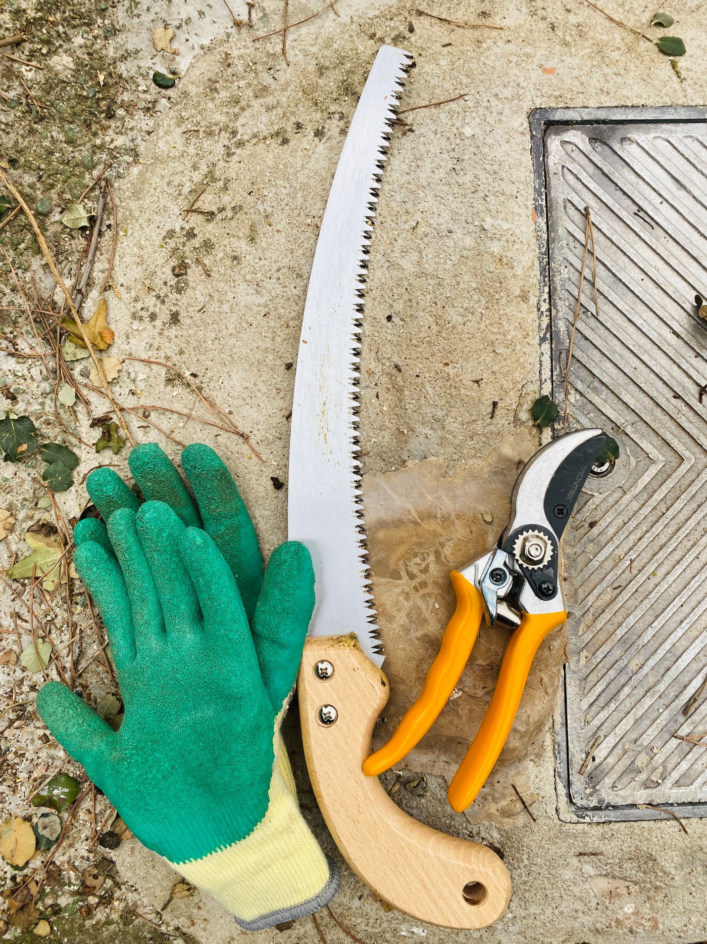 Gardening gloves and hand tools